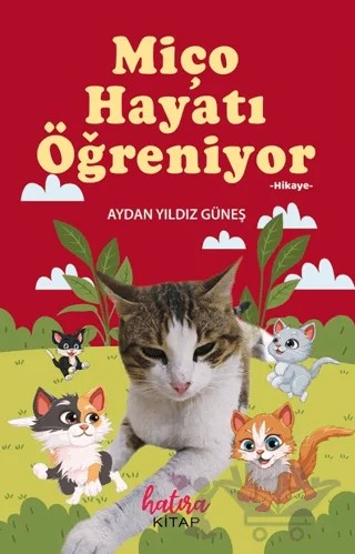 Miço Hayatı Öğreniyor – Aydan Yıldız Güneş – Hatıra Kitap kitap kapağı