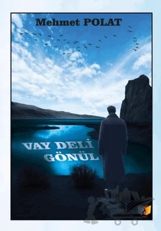 Vay Deli Gönül – Mehmet Polat – Ateş Yayınları kitap kapağı