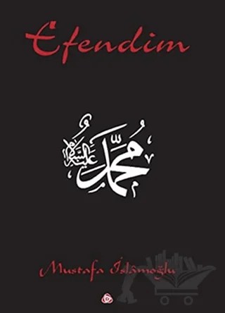 Efendim – Mustafa İslamoğlu – Düşün Yayıncılık kitap kapağı