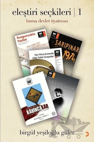 Eleştiri Seçkileri 1 – Birgül Yeşiloğlu Güler – Cinius Yayınları kitap kapağı