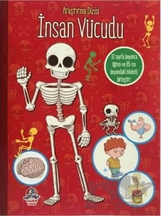 İnsan Vücudu - Araştırma Dizisi – Kolektif – Yağmur Çocuk kitap kapağı