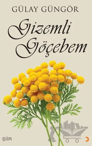 Gizemli Göçebem – Gülay Güngör – Cinius Yayınları kitap kapağı