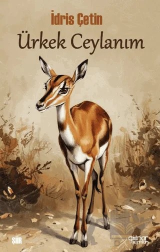 Ürkek Ceylanım – İdris Çetin – Gülnar Yayınları kitap kapağı