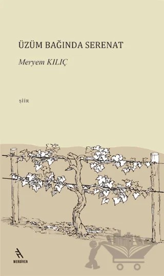 Üzüm Bağında Serenat – Meryem Kılıç – Şule Yayınları kitap kapağı