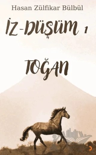 İz - Düşüm 1 Toğan – Hasan Zülfikar Bülbül – Cinius Yayınları kitap kapağı