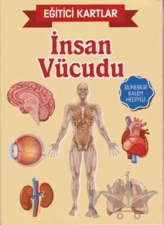 Eğitici Kartlar - İnsan Vücüdu – Kolektif – Teleskop Popüler Bilim kitap kapağı