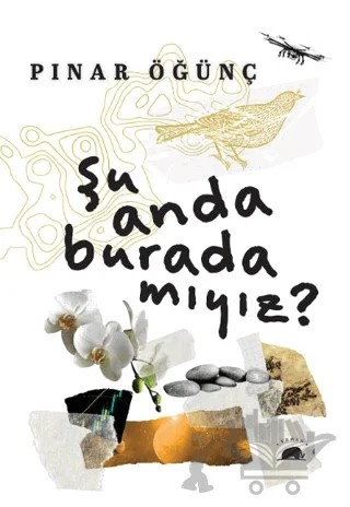Şu Anda Burada Mıyız? – Pınar Öğünç – Kolektif Kitap kitap kapağı