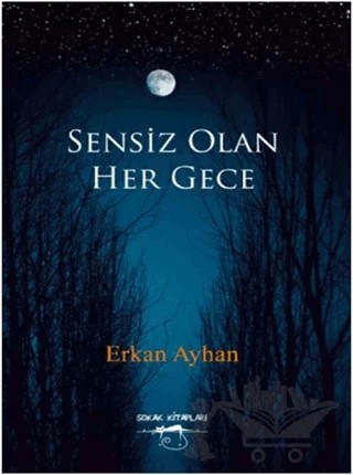 Sensiz Olan Her Gece – Erkan Ayhan – Sokak Kitapları Yayınları kitap kapağı
