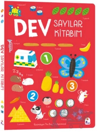 Dev Sayılar Kitabım – The Boy Fitzhammond – İndigo Çocuk kitap kapağı