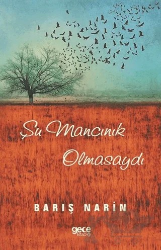 Şu Mancınık Olmasaydı – Barış Narin – Gece Kitaplığı kitap kapağı