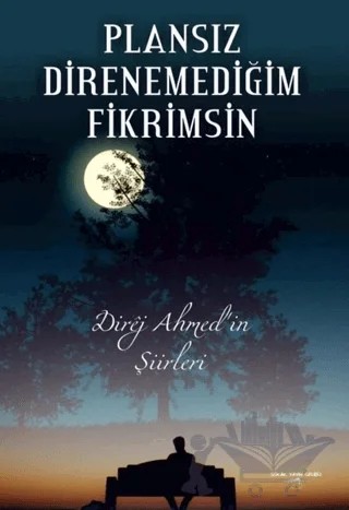 Plansız Direnemediğim Fikrimsin – Ahmet Altın – Sokak Kitapları Yayınları kitap kapağı