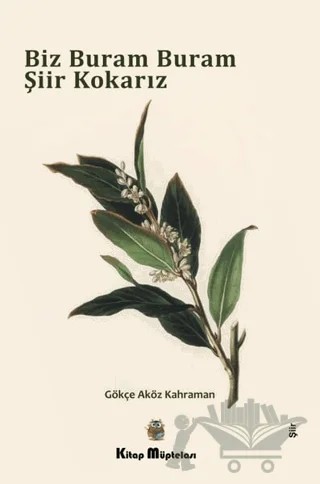 Biz Buram Buram Şiir Kokarız – Gökçe Aköz Kahraman – Kitap Müptelası Yayınları kitap kapağı