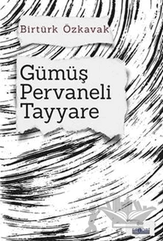 Gümüş Pervaneli Tayyare – Birtürk Özkavak – Favori Yayınları kitap kapağı