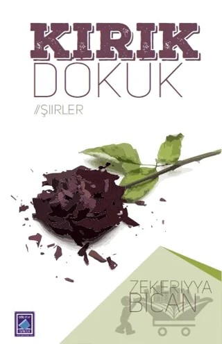 Kırık Dökük – Zekeriyya Bican – Göl Yayıncılık kitap kapağı