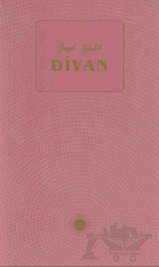 Şeyh Galib Divanı – Naci Okcu – Diyanet İşleri Başkanlığı kitap kapağı