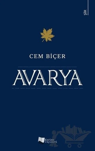 Avarya – Cem Biçer – Karina Yayınevi kitap kapağı