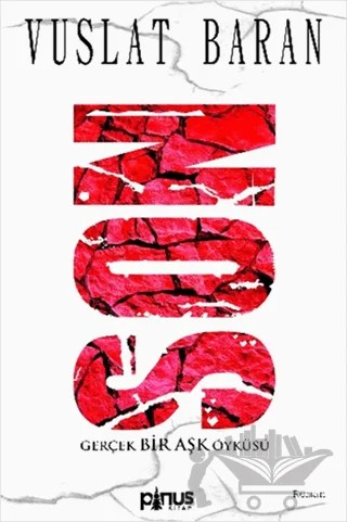 Son – Vuslat Baran – Pinus Kitap kitap kapağı