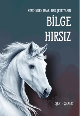 Bilge Hırsız – Şerif Şeker – Luna Yayınları kitap kapağı