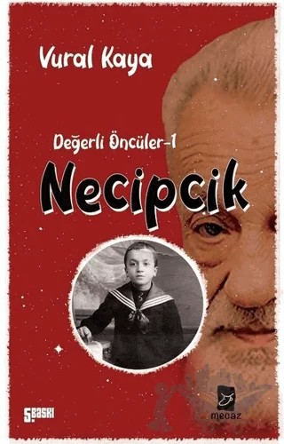 Necipcik – Vural Kaya – Mecaz Çocuk kitap kapağı