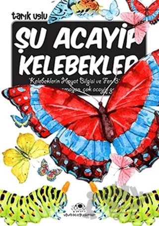 Şu Acayip Kelebekler – Tarık Uslu – Uğurböceği Yayınları kitap kapağı