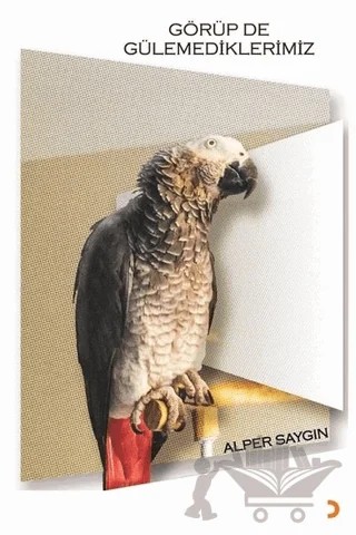 Görüp de Gülemediklerimiz – Alper Saygın – Cinius Yayınları kitap kapağı