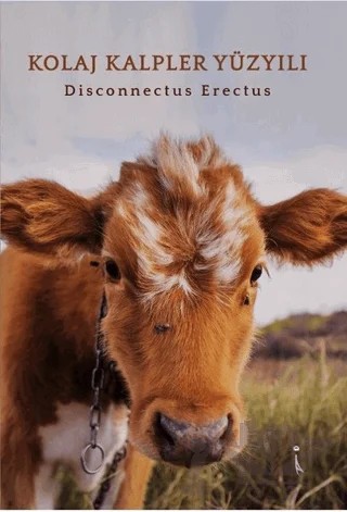Kolaj Kalpler Yüzyılı – Disconnectus Erectus – İkinci Adam Yayınları kitap kapağı