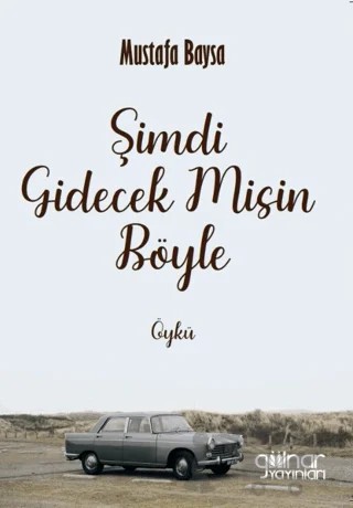 Şimdi Gidecek Misin Böyle – Mustafa Baysa – Gülnar Yayınları kitap kapağı