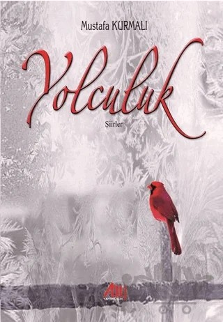 Yolculuk – Mustafa Kurmalı – Baygenç Yayıncılık kitap kapağı