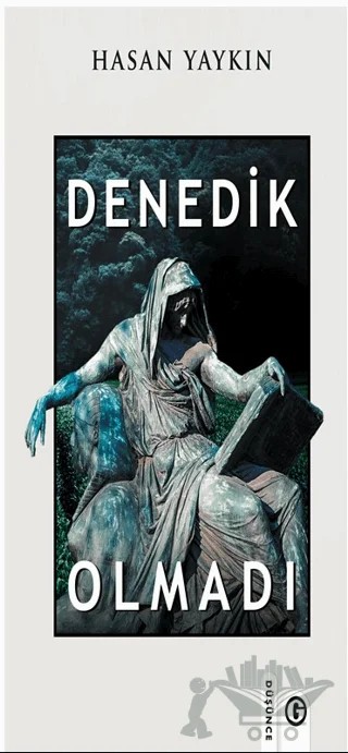 Denedik Olmadı – Hasan Yaykın – Gayri Nizami Kitap kitap kapağı