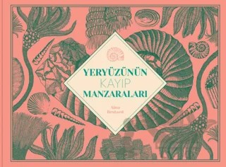 Yeryüzünün Kayıp Manzaraları – Aina Bestard – MEAV Yayıncılık kitap kapağı
