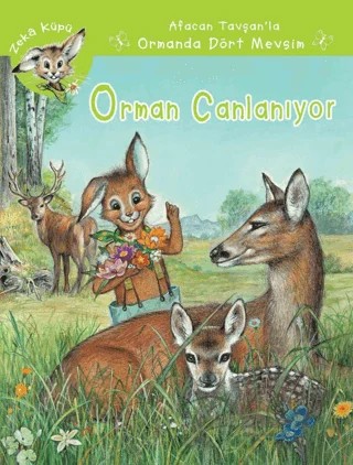 Orman Canlanıyor – Jeanne Hiver – Kaknüs Yayınları kitap kapağı
