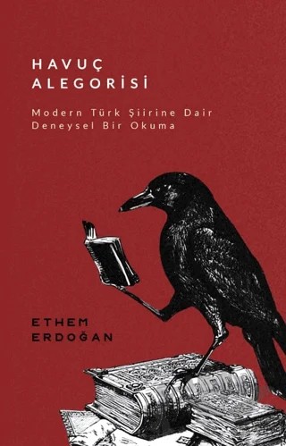 Havuç Alegorisi – Ethem Erdoğan – Çıra Yayınları kitap kapağı