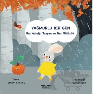 Yağmurlu Bir Gün – Tennur Shetye – Perseus kitap kapağı