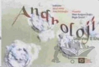 Androloji – Ateş Kadıoğlu, Bilge Özsait, Erkut Attar, Sibel Bulgurcuoğlu – İstanbul Tıp Kitabevi kitap kapağı