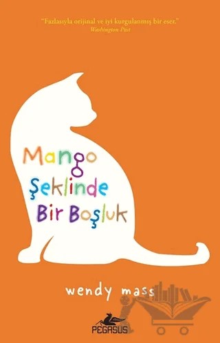 Mango Şeklinde Bir Boşluk – Wendy Mass – Pegasus Yayınları kitap kapağı