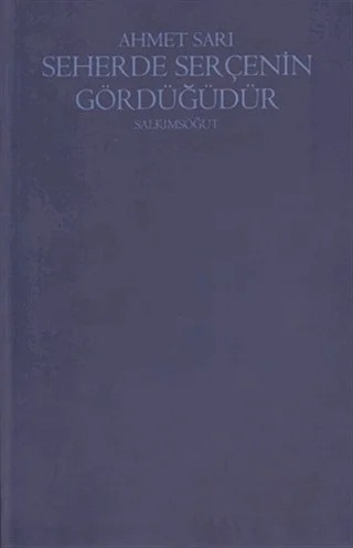 Seherde Serçenin Gördüğüdür – Ahmet Sarı – Salkımsöğüt Yayınları kitap kapağı