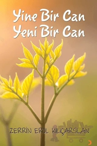 Yine Bir Can Yeni Bir Can – Zerrin Erol Kılıçarslan – Cinius Yayınları kitap kapağı