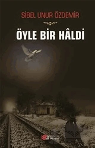 Öyle Bir Haldi – Sibel Unur Özdemir – Berikan Yayınevi kitap kapağı