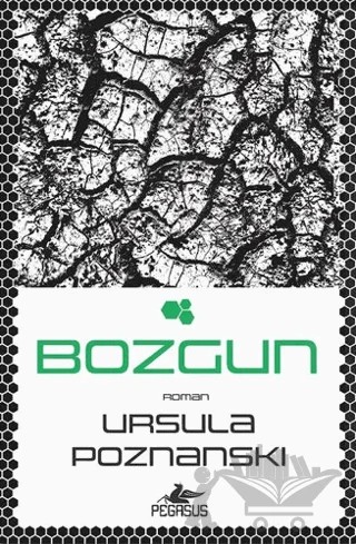 Bozgun – Ursula Poznanski – Pegasus Yayınları kitap kapağı