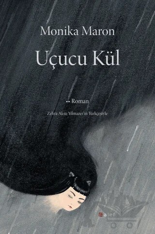 Uçucu Kül – Monika Maron – Alef Yayınevi kitap kapağı