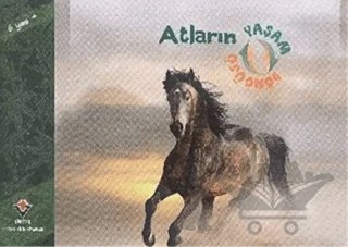 Atların Yaşam Döngüsü – David M. Schwartz – TÜBİTAK Yayınları kitap kapağı