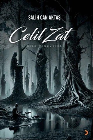 Celil Zat – Salih Can Aktaş – Cinius Yayınları kitap kapağı