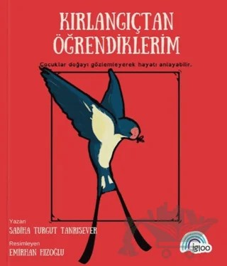 Kırlangıçtan Öğrendiklerim – Sabiha Turgut Tanrısever – İgloo Yayınevi kitap kapağı