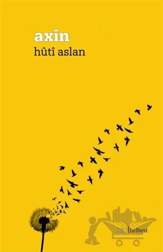Axin – Huti Aslan – J&J Yayınları kitap kapağı