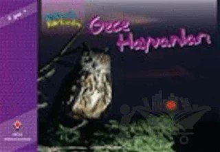 Bir Zamanlar Korkardım - Gece Hayvanları – Elaine Pascoe – TÜBİTAK Yayınları kitap kapağı