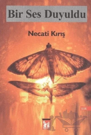 Bir Ses Duyuldu – Necati Kırış – Altın Post Yayıncılık kitap kapağı