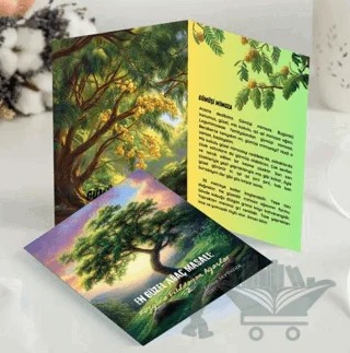 En Güzel Ağaç Masalı Rüzgara Fısıldayan Ağaçlar 2 – Zeynep Sevindik – Türkiye Kültür Yayınları kitap kapağı
