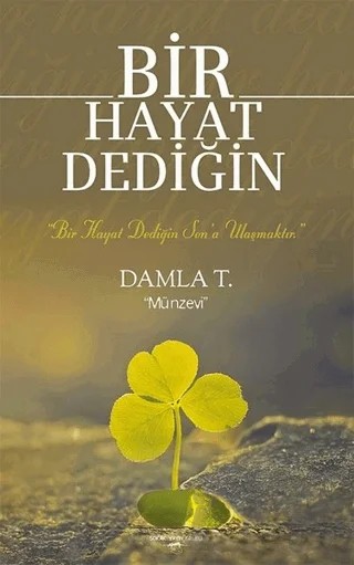 Bir Hayat Dediğin – Damla T. – Sokak Kitapları Yayınları kitap kapağı