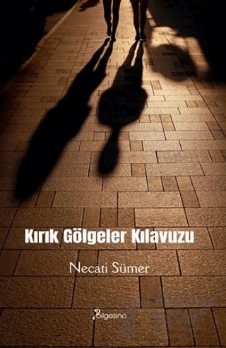 Kırık Gölgeler Kılavuzu – Necati Sümer – Bilgesina Yayınları kitap kapağı
