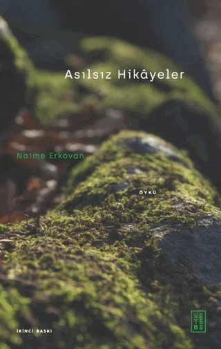 Asılsız Hikayeler – Naime Erkovan – Ketebe Yayınları kitap kapağı